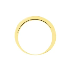 Alliance Davila Or Jaune Oxyde De Zirconium