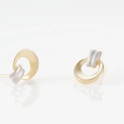 Boucles D'oreilles Puces Berangere Cercle Or Bicolore