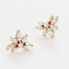 Boucles D'oreilles Puces Davena Argent Rose Oxyde De Zirconium