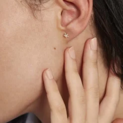 Boucles D'oreilles Puces Elais Etoile Or Jaune Oxyde De Zirconium