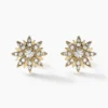 Boucles D'oreilles Puces Eva Acier Jaune Oxyde De Zirconium