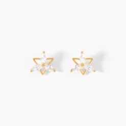 Boucles D'Oreilles Puces Farid Or Jaune Oxyde De Zirconium