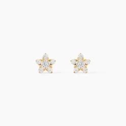Boucles D'oreilles Puces Ilkis Etoile Or Jaune Oxyde De Zirconium