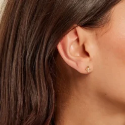 Boucles D'oreilles Puces Netuno Or Jaune Oxyde De Zirconium