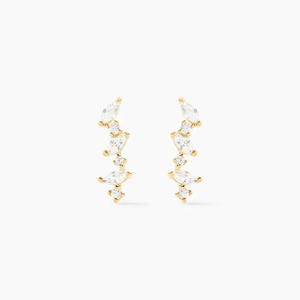 Boucles D'oreilles Puces Or Jaune Fortunella Oxydes De Zirconium