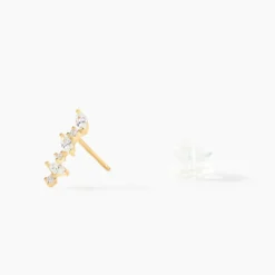Boucles D'oreilles Puces Or Jaune Fortunella Oxydes De Zirconium