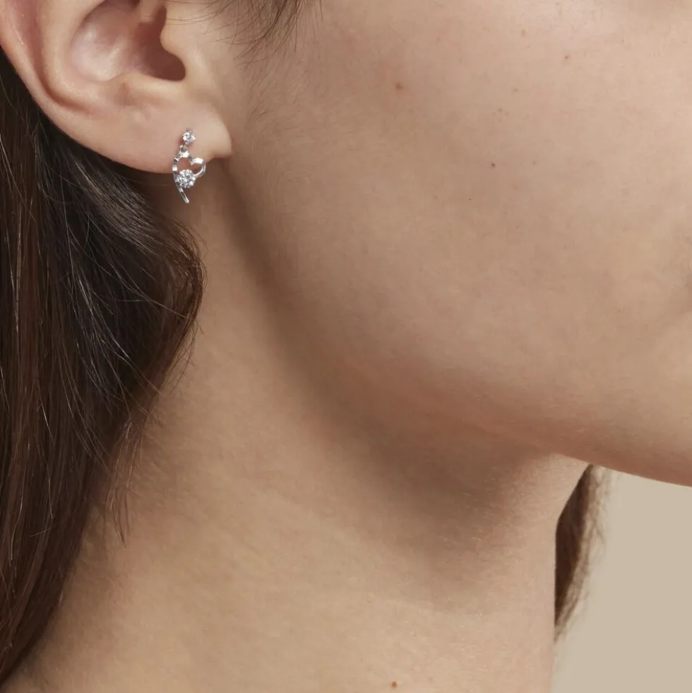 Boucles D'oreilles Puces Romance Or Blanc Oxyde De Zirconium