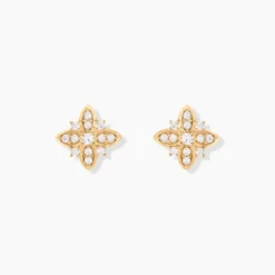 Boucles D'oreilles Puces Vaiana Plaqué Or Jaune Oxyde De Zirconium