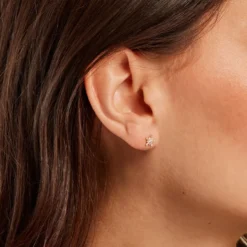 Boucles D'oreilles Puces Wen Or Jaune Oxyde De Zirconium