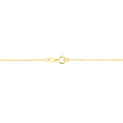 Chaîne Igoa Maille Forçat Diamantee Or Jaune