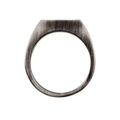 Chevalière Aidee Acier Gris