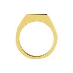 Chevalière Phebus Him Classique Acier Jaune