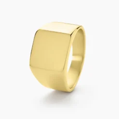 Chevalière Winebald Acier Jaune