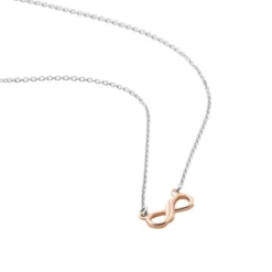 Collier Argent Bicolore Werner