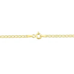 Collier Capucin Or Jaune Maille Marine Plate