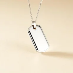 Collier Eutrope Acier Blanc