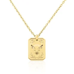 Collier Phebus Him Acier Jaune