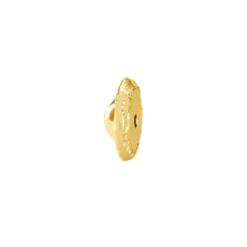 Fermoir Vis Boucle D'oreille Or Jaune