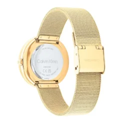 Montre Calvin Klein Twist Argenté