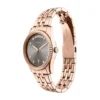 Montre Fossil Scarlette Gris