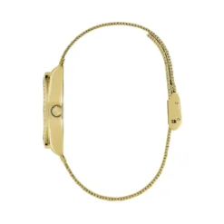 Montre Guess Boa Champagne