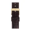 Montre U.S. Polo Us Polo Dorian Blanc