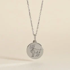 Pendentif Zodiaque Rond Argent Blanc