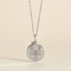 Pendentif Zodiaque Rond Argent Blanc