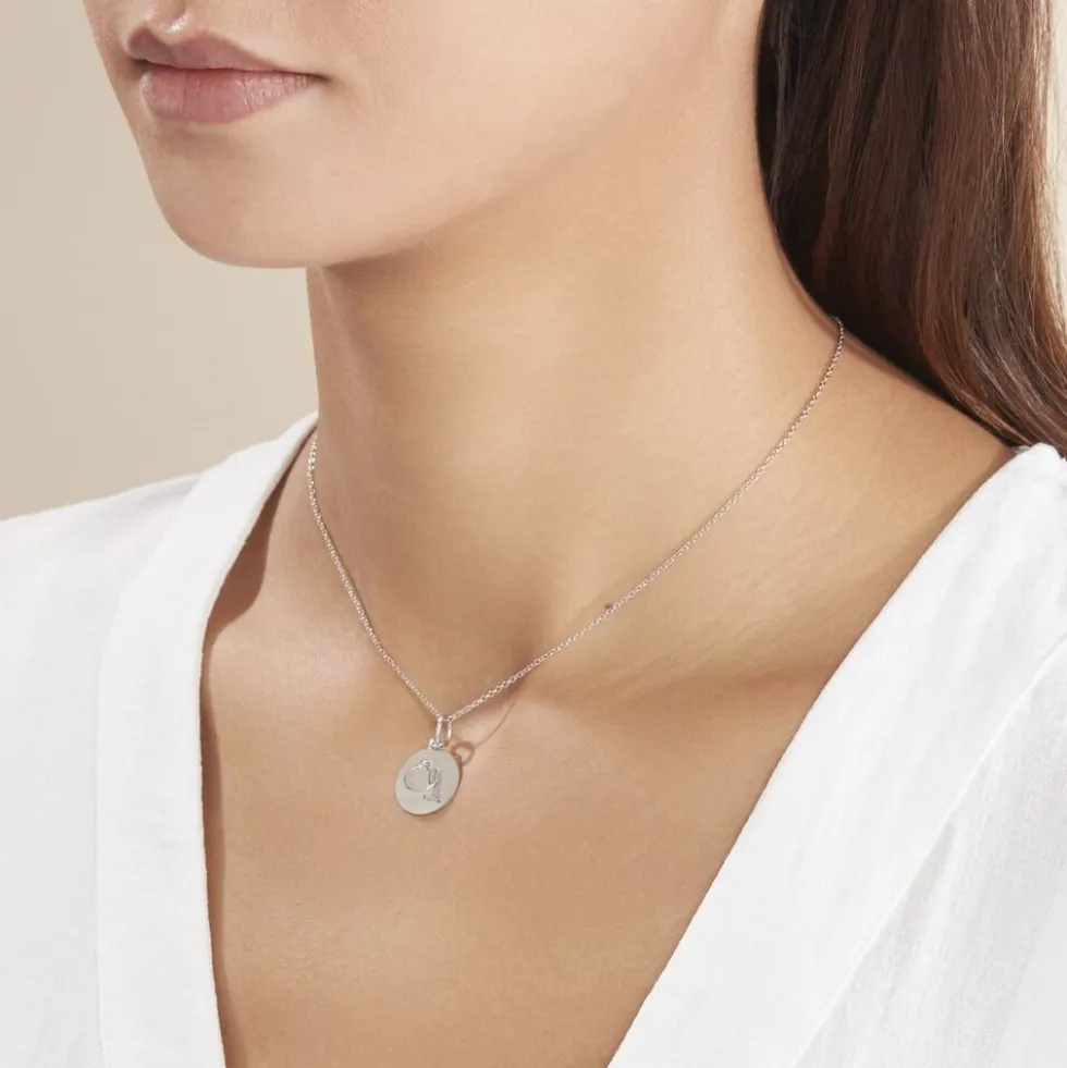 Pendentif Zodiaque Rond Argent Blanc