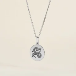 Pendentif Zodiaque Rond Argent Blanc