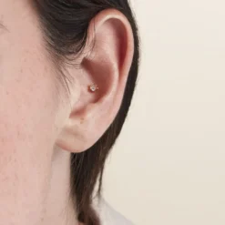 Piercing D'oreilles Unitaire Acier Doré Piia Oxyde De Zirconium